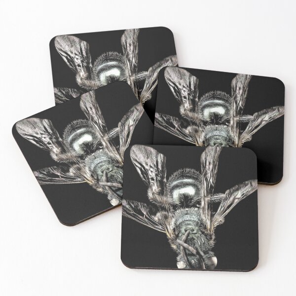 Item preview, Black and White etching of a house fly designed and sold by mittie101.