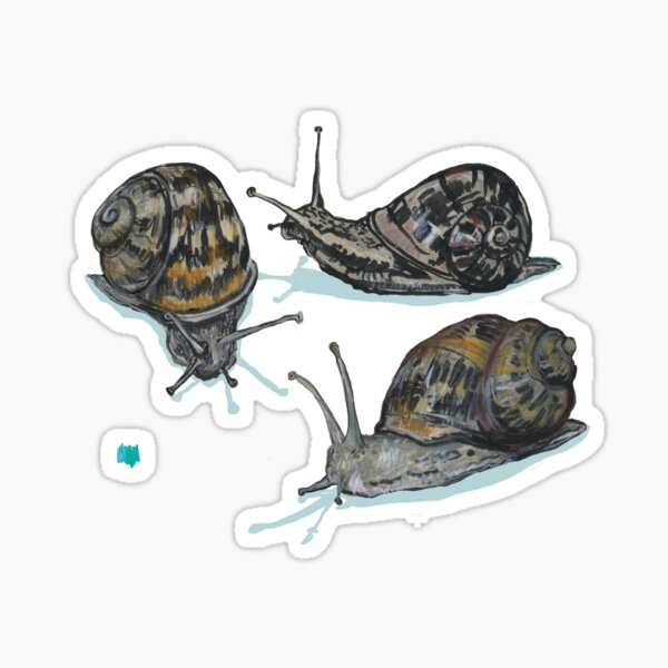 Slow Trails Sticker