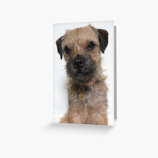 Heidi HellHound Border Terrier Dog Greeting Card