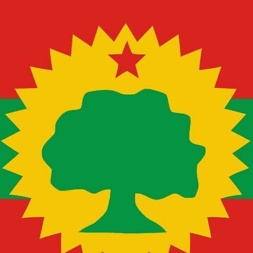 Oromo Flag | Art Print