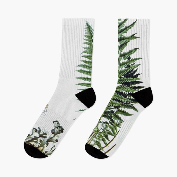 Item preview, Medical Plants designed and sold by redoARTstore.