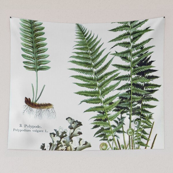 Item preview, Medical Plants designed and sold by redoARTstore.