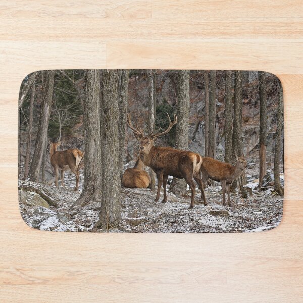 Item preview, Elks In The Woods designed and sold by Michael Cummings.