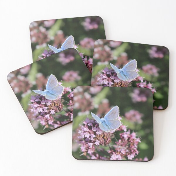 Item preview, Common Blue butterfly designed and sold by pinkal.