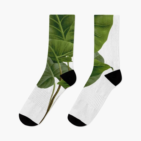 Item preview, Alocasia Villeneuve - Elephant Ear designed and sold by redoARTstore.
