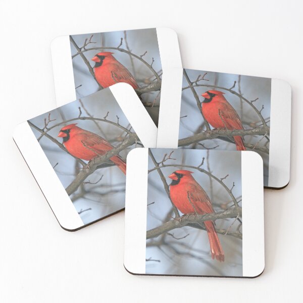 Item preview, Cardinal Bird designed and sold by designArt95.