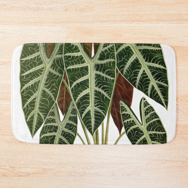 Item preview, Alocasia Luciani - Elephant Ear designed and sold by redoARTstore.