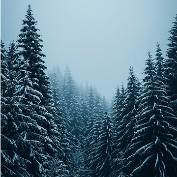Artwork thumbnail, Winter is Coming... Snowy Pines Love by PrettyInk
