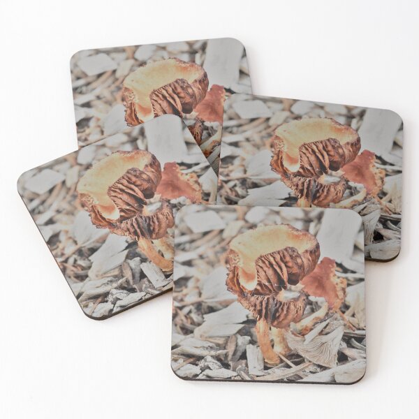 Item preview, Mushrooms Shrivelling Up designed and sold by imaginethis.