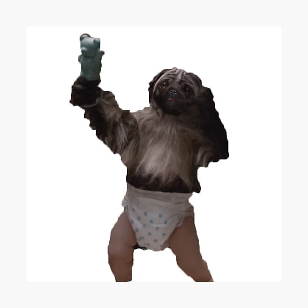 Puppy-Monkey-Baby Photographic Print