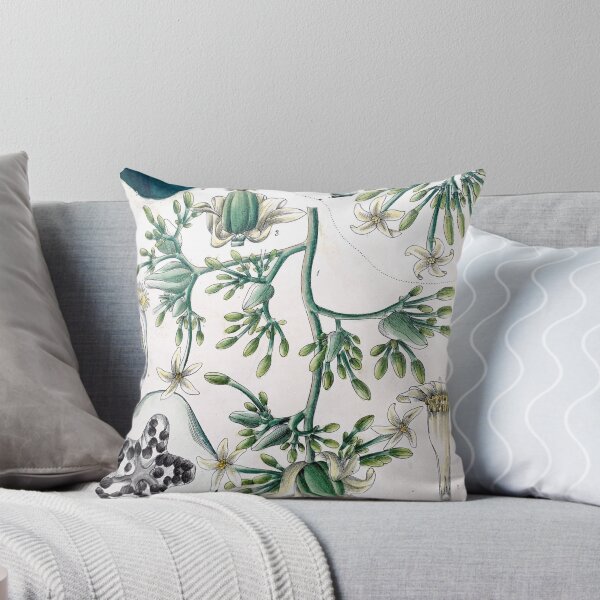 Item preview, carica papaya l. botanical illustration designed and sold by Yviemakes.