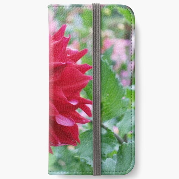 co241 iPhone Wallet
