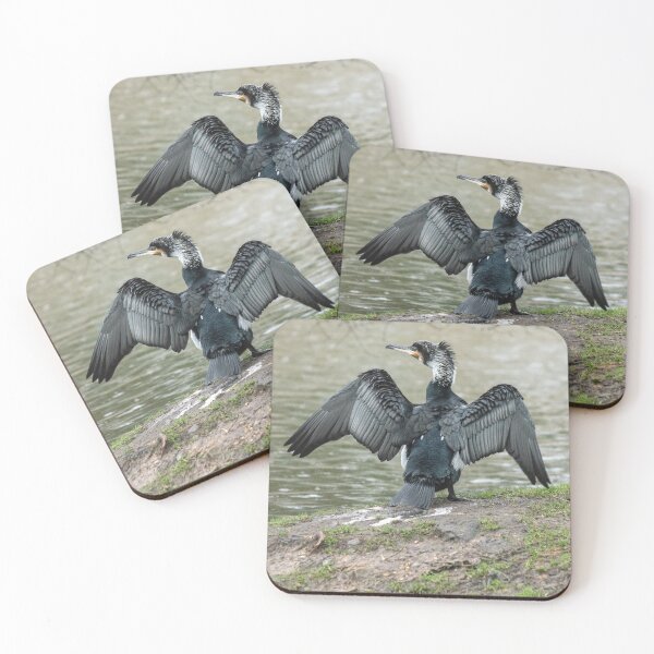 Item preview, Cormorant with wings outstretched. designed and sold by GingerMan2550.