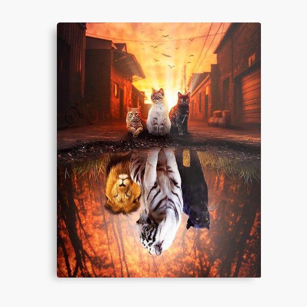 Cat vs Tiger - Cat is Tiger Reflection Metal Print