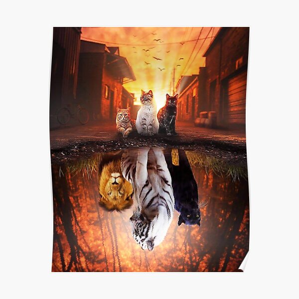 Cat vs Tiger - Cat is Tiger Reflection Poster