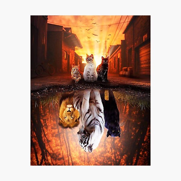 Cat vs Tiger - Cat is Tiger Reflection Photographic Print