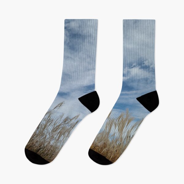 Item preview, Serene reeds under a peaceful sky designed and sold by RedFlamenco.