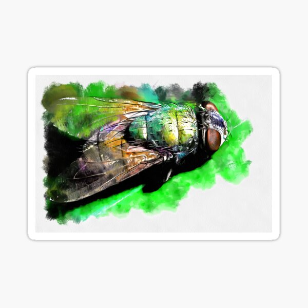Item preview, Fly On The Wall: Watercolour Style designed and sold by mittie101.
