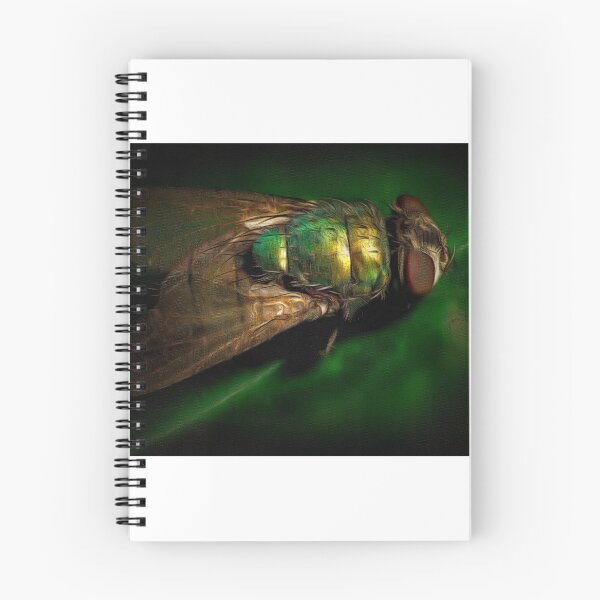 Item preview, Magnified Fly: Old Masters Style Painting designed and sold by mittie101.