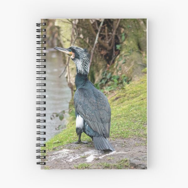 Item preview, A Cormorant Beside the Lake. designed and sold by GingerMan2550.