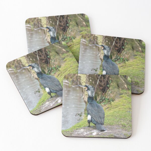 Item preview, A Cormorant Beside the Lake. designed and sold by GingerMan2550.