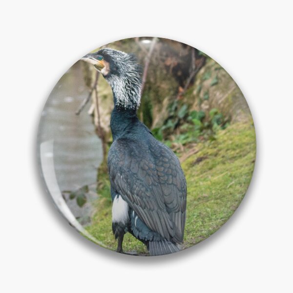 Item preview, A Cormorant Beside the Lake. designed and sold by GingerMan2550.