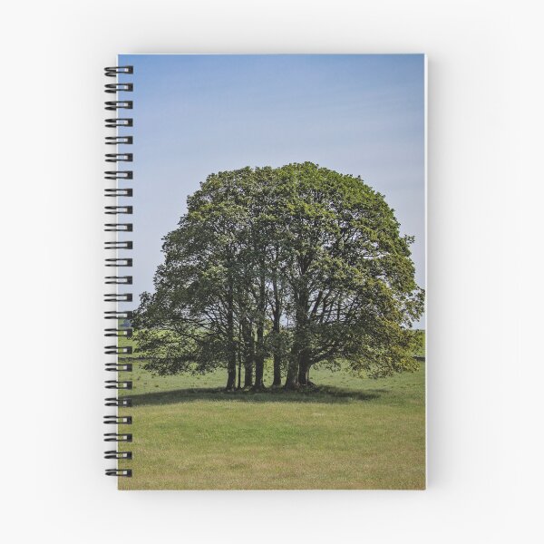 Item preview, A Lone Copse designed and sold by TomHolmesPhoto.