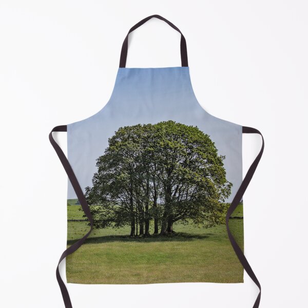 Item preview, A Lone Copse designed and sold by TomHolmesPhoto.