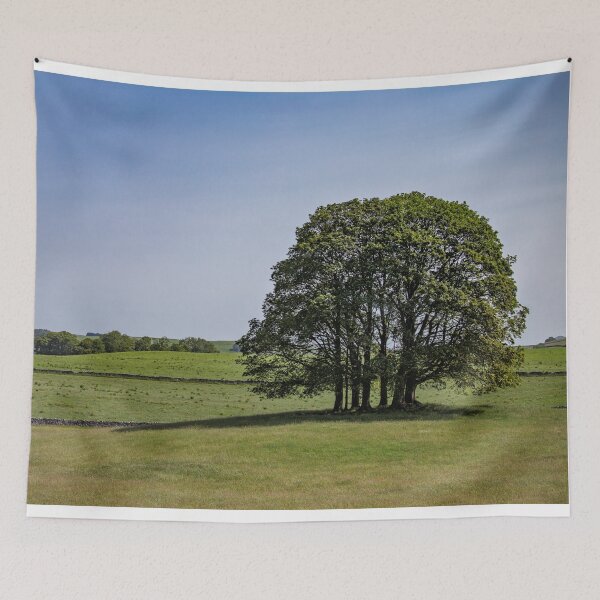 Item preview, A Lone Copse designed and sold by TomHolmesPhoto.