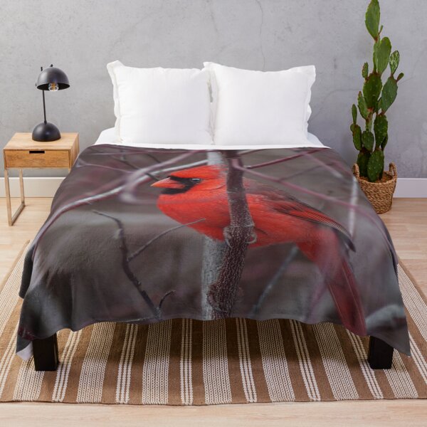 Item preview, Male Northern Cardinal designed and sold by cherylorraine.