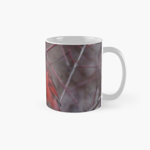 Item preview, Male Northern Cardinal designed and sold by cherylorraine.