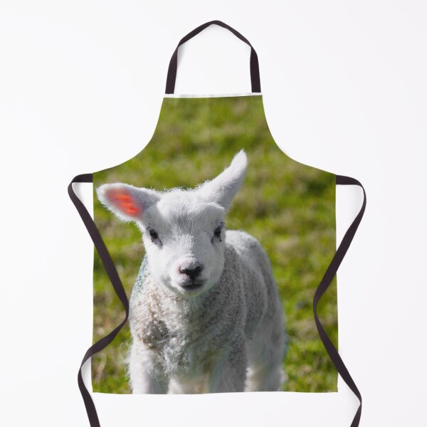 Item preview, A Newborn Lamb, Carleton-In-Craven designed and sold by TomHolmesPhoto.