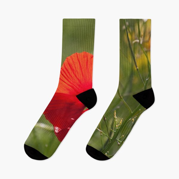Item preview, A Single Poppy designed and sold by TomHolmesPhoto.