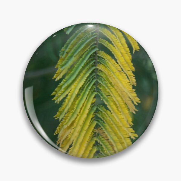 Item preview, llb ulmo leaf designed and sold by pcfyi.