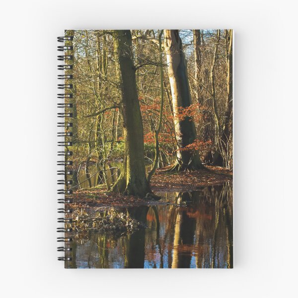 Item preview, Flooded woodland designed and sold by Violaman.