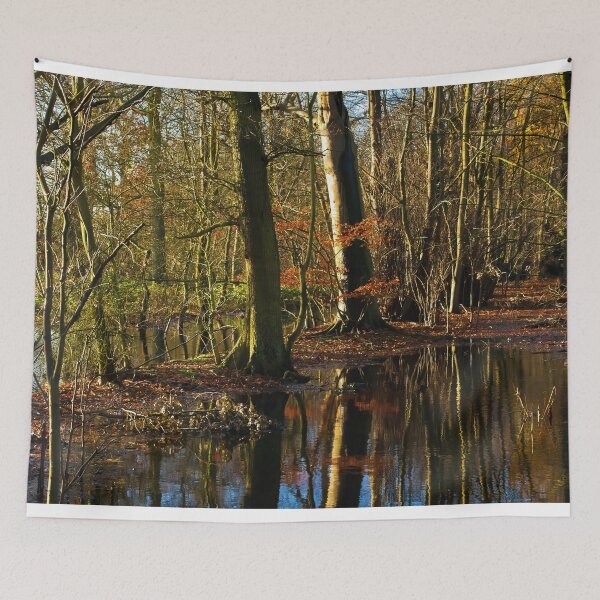 Item preview, Flooded woodland designed and sold by Violaman.