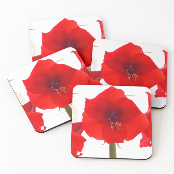 Item preview, Amaryllis designed and sold by John Thurgood.