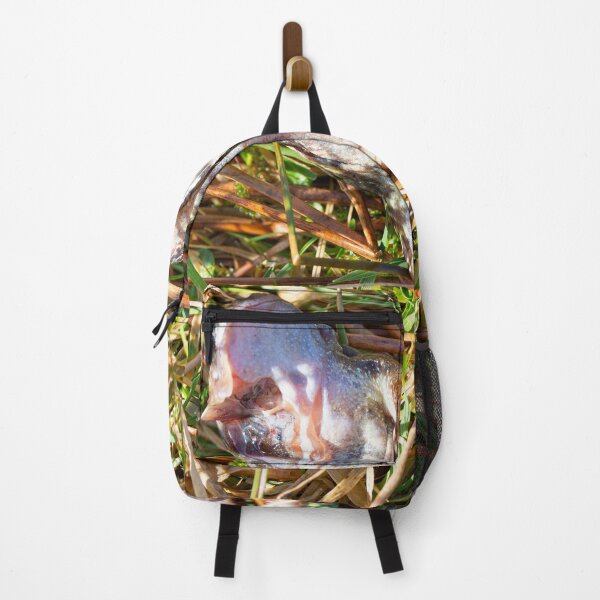 Item preview, Dead Frog on its Back designed and sold by StephenPower.