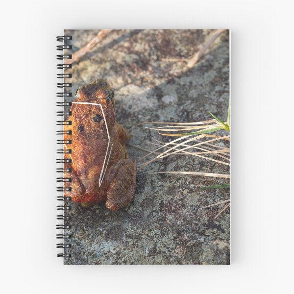 Item preview, Two Frogs Mating designed and sold by StephenPower.