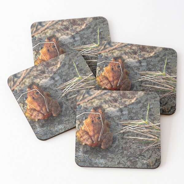 Item preview, Two Frogs Mating designed and sold by StephenPower.