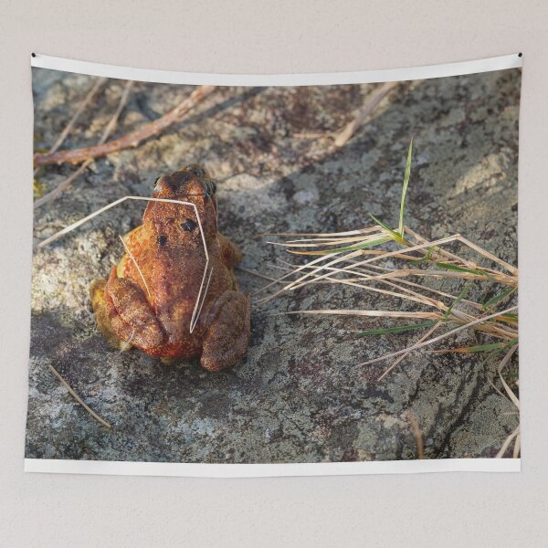 Item preview, Two Frogs Mating designed and sold by StephenPower.