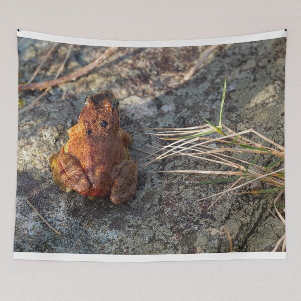 Item preview, Two Frogs Mating 2 designed and sold by StephenPower.