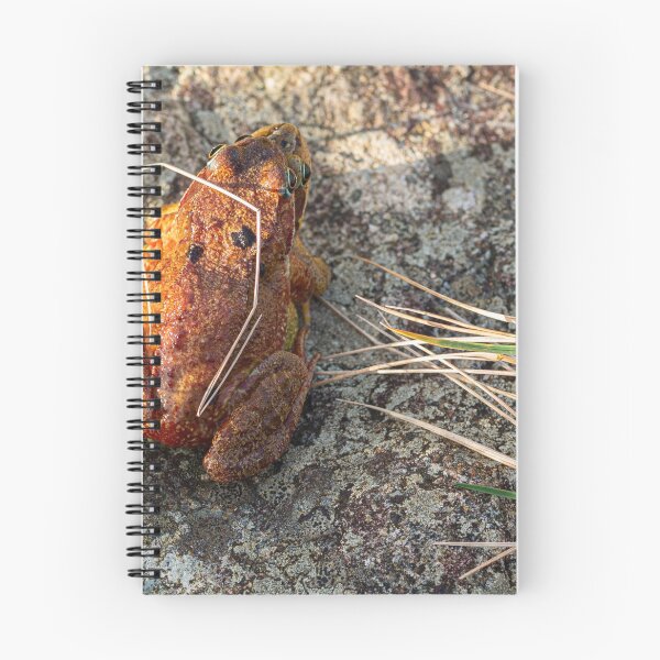 Item preview, Two Frogs Mating 3 designed and sold by StephenPower.