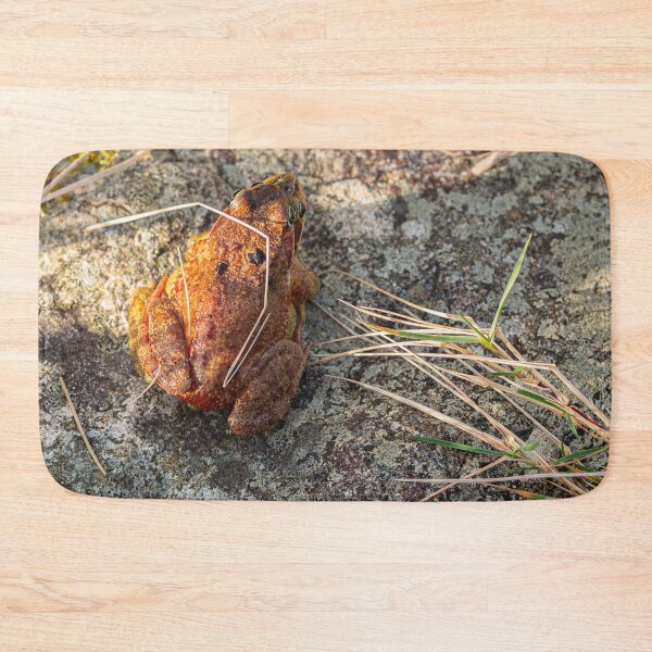 Item preview, Two Frogs Mating 3 designed and sold by StephenPower.