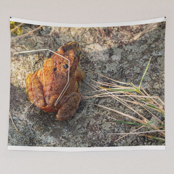 Item preview, Two Frogs Mating 3 designed and sold by StephenPower.