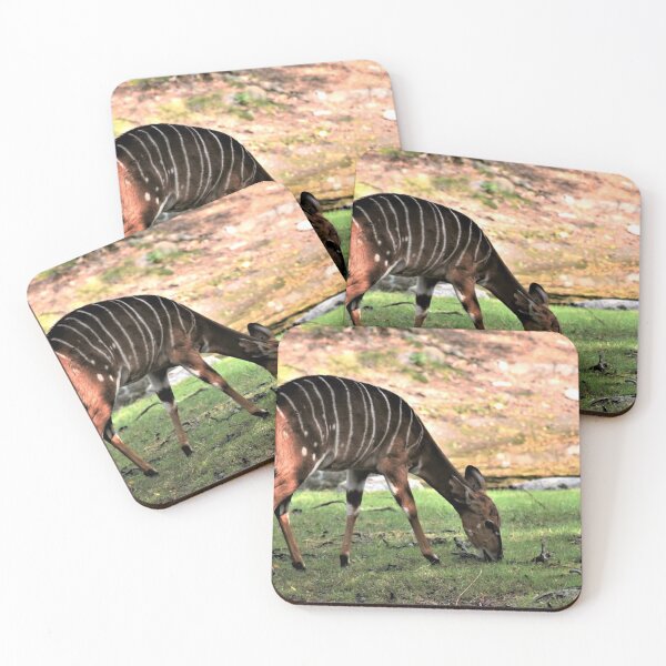 Item preview, Young Nyala Grazing designed and sold by DonnaM.
