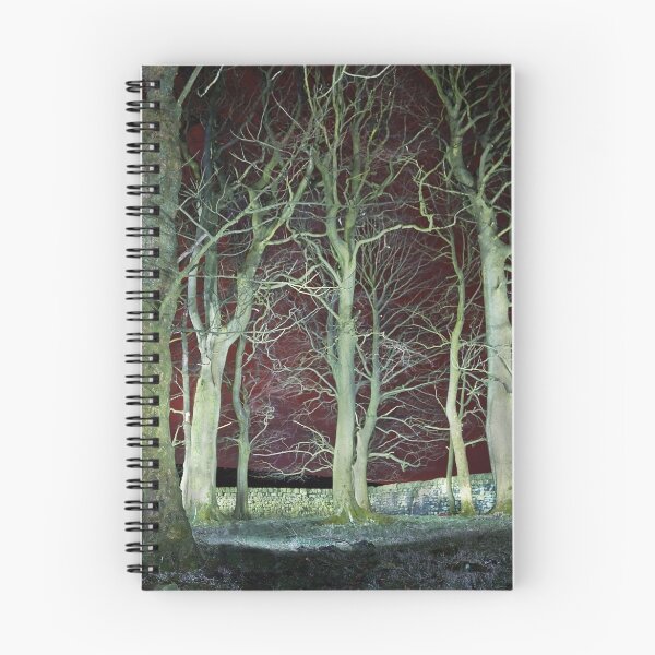 Item preview, Spinney at Night designed and sold by fotohebden.