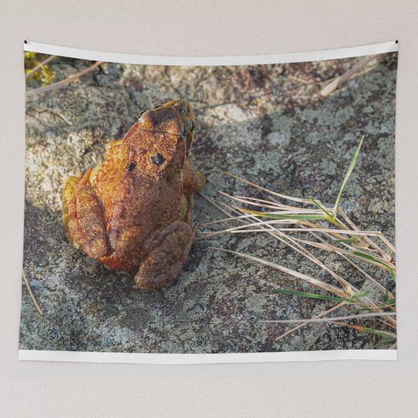 Item preview, Two Frogs Mating 4 designed and sold by StephenPower.