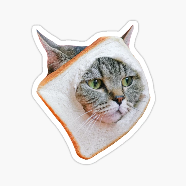 trendy meme cat funny sticker Sticker for Sale by Harrizart