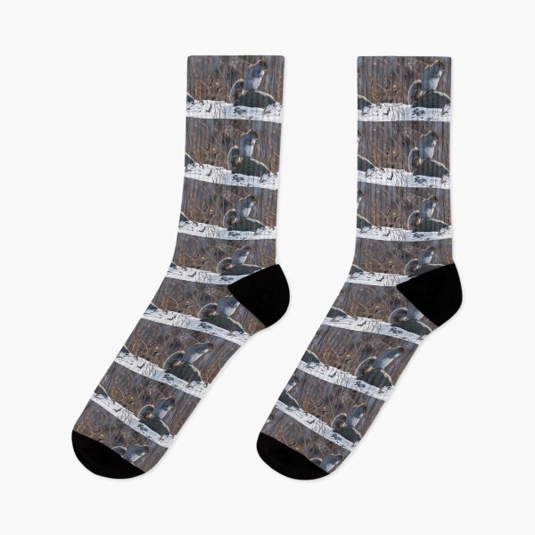 Item preview, Gray Squirrel designed and sold by Michael Cummings.